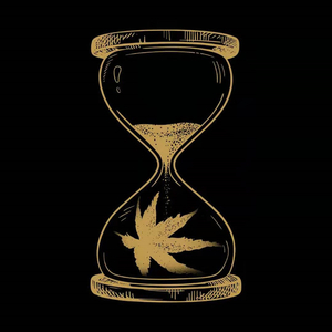 美女脱👙给我揉🐻口
