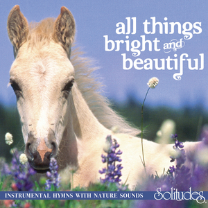 美女脱👙给我揉🐻口
